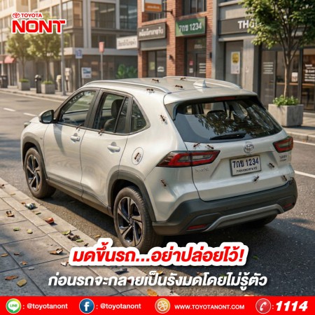 มดขึ้นรถ อย่าปล่อยไว้! ก่อนรถจะกลายเป็นรังมดโดยไม่รู้ตัว